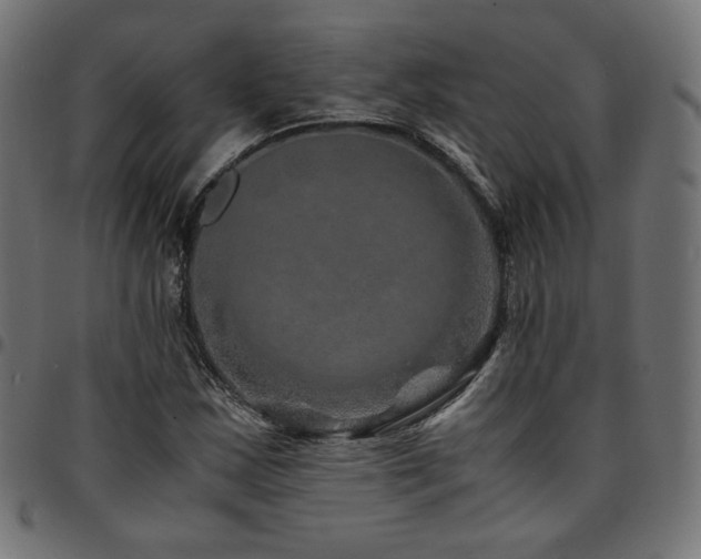 X0000095541163200712141518