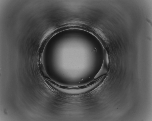 X0000095541164200712141518