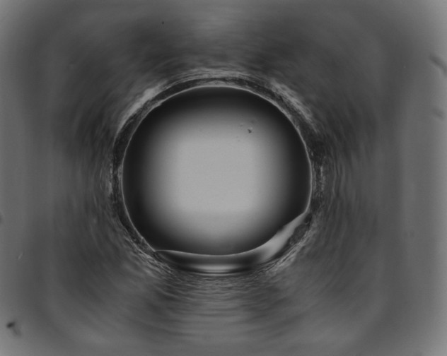 X0000095541165200712141518