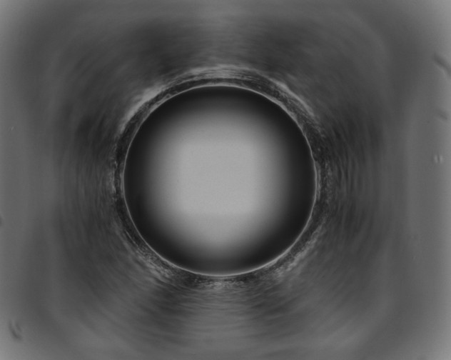 X0000095541166200712141518