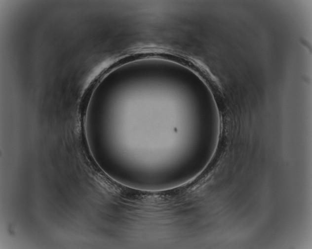 X0000095541167200712141518