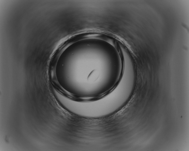 X0000095541168200712141518