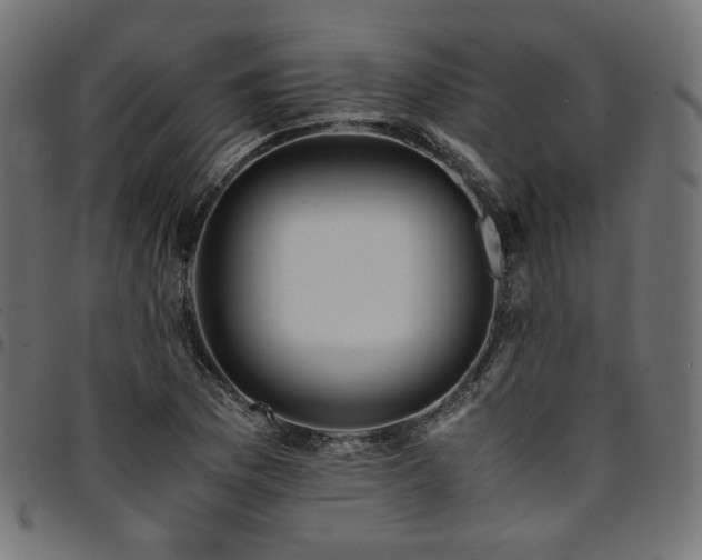 X0000095541169200712141518