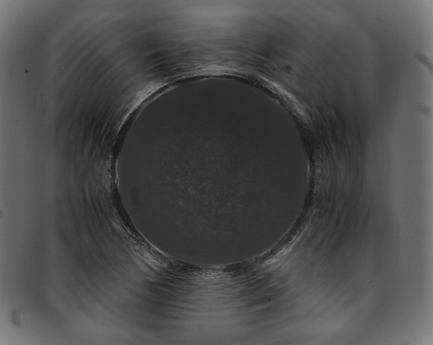 X0000095541170200712141518