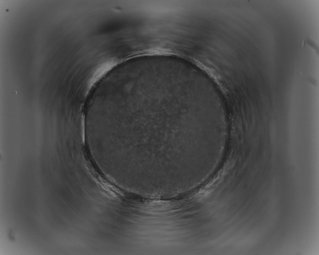 X0000095541171200712141518