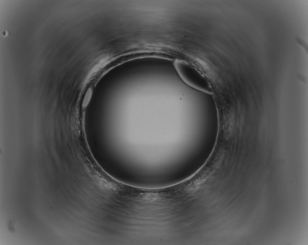 X0000095541172200712141518