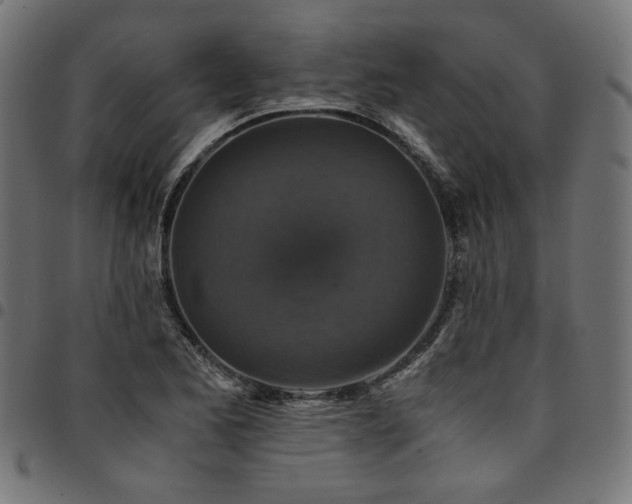 X0000095541173200712141518