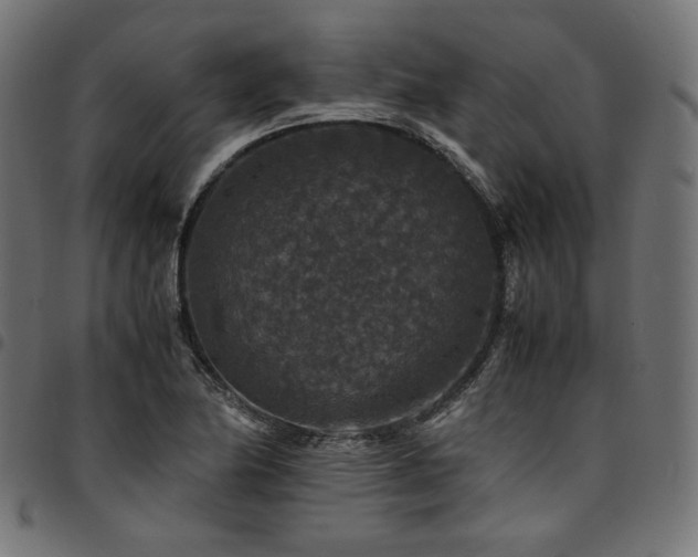 X0000095541174200712141518