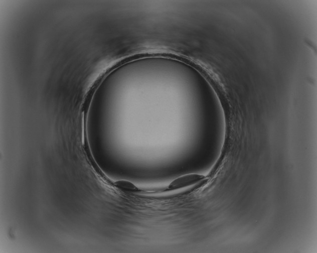 X0000095541175200712141518