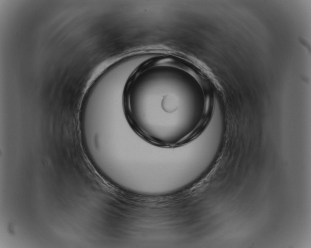 X0000095541176200712141518