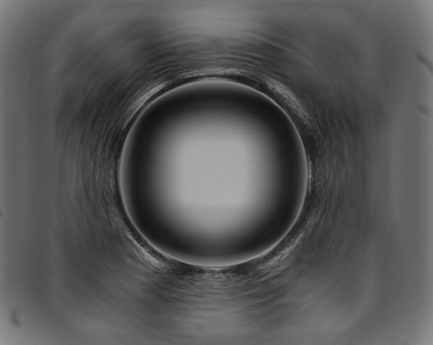 X0000095541177200712141518