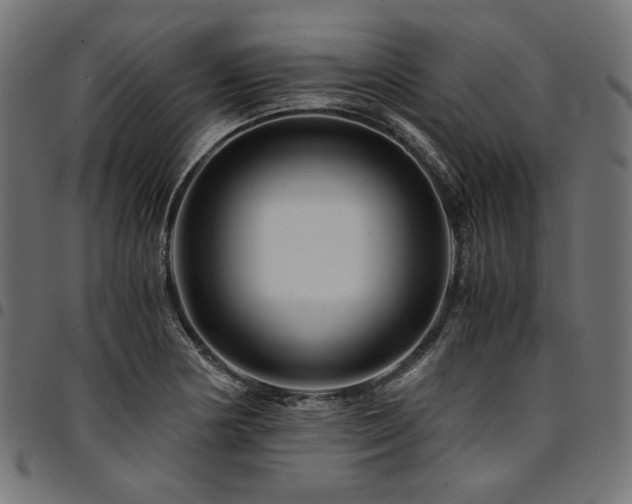 X0000095541178200712141518