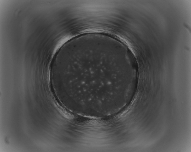 X0000095541179200712141518