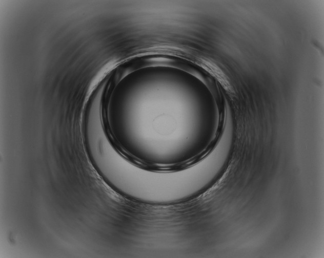 X0000095541180200712141518