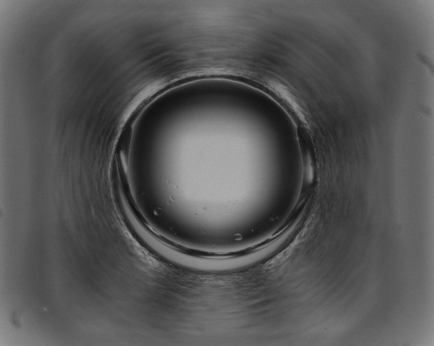 X0000095541181200712141518