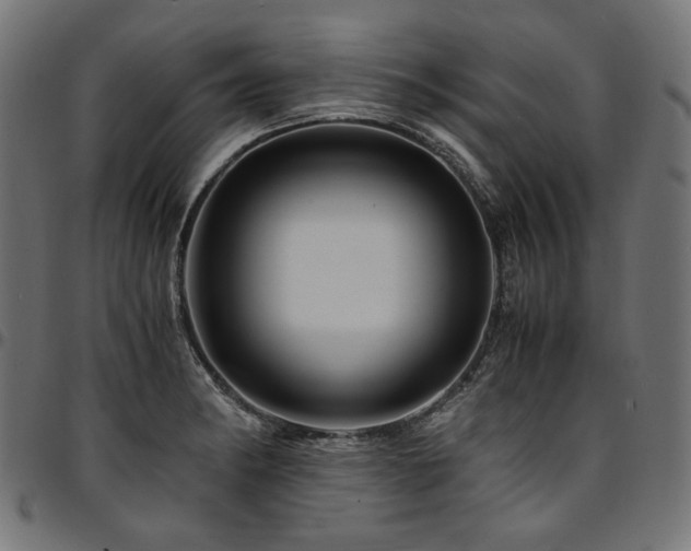 X0000095541182200712141518