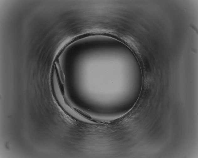 X0000095541183200712141518