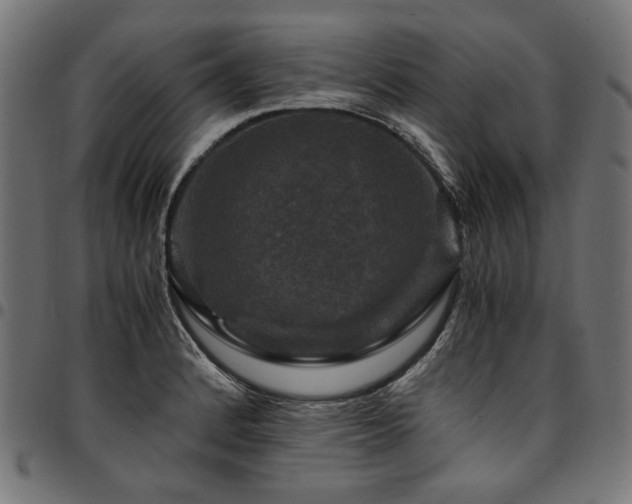 X0000095541184200712141518