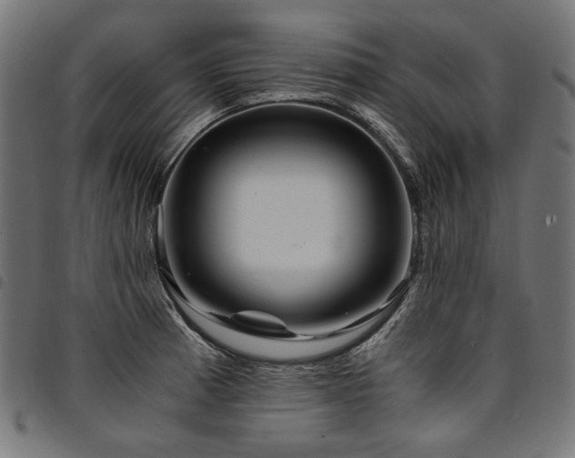 X0000095541185200712141518