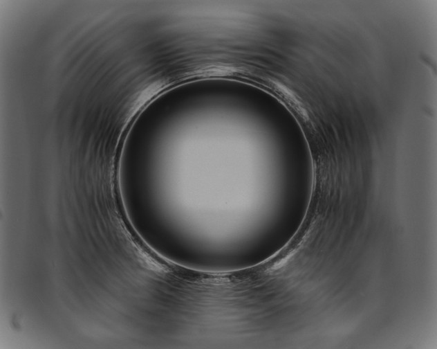 X0000095541186200712141518