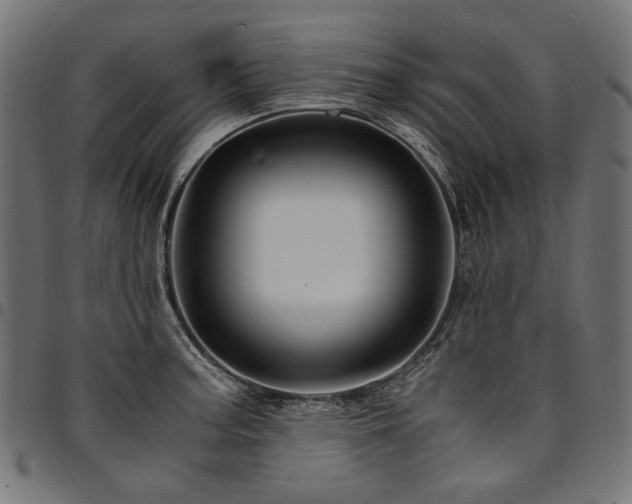 X0000095541187200712141517