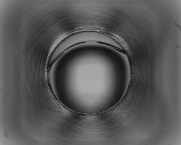 X0000095541188200712141517