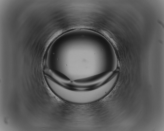 X0000095541189200712141517