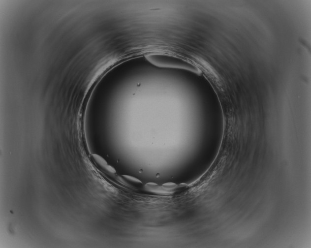 X0000095541190200712141517