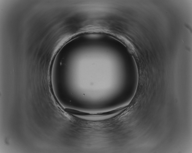 X0000095541191200712141517