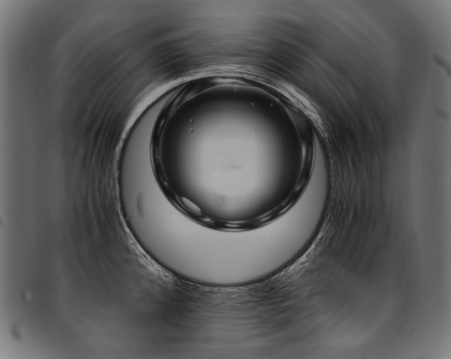 X0000095541192200712141517