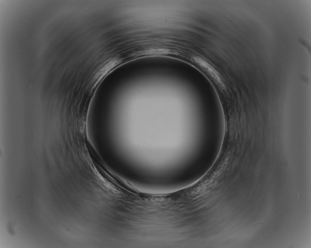 X0000095541193200712141517