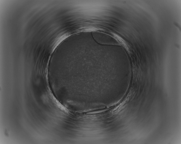 X0000095541194200712141517