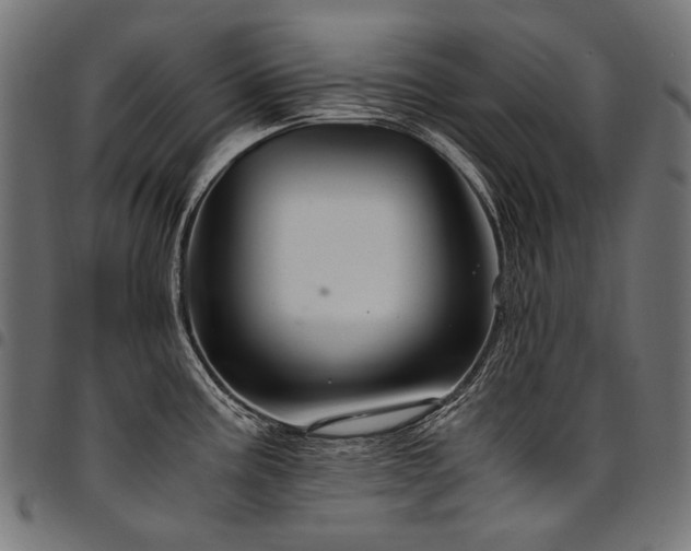 X0000095541195200712141517