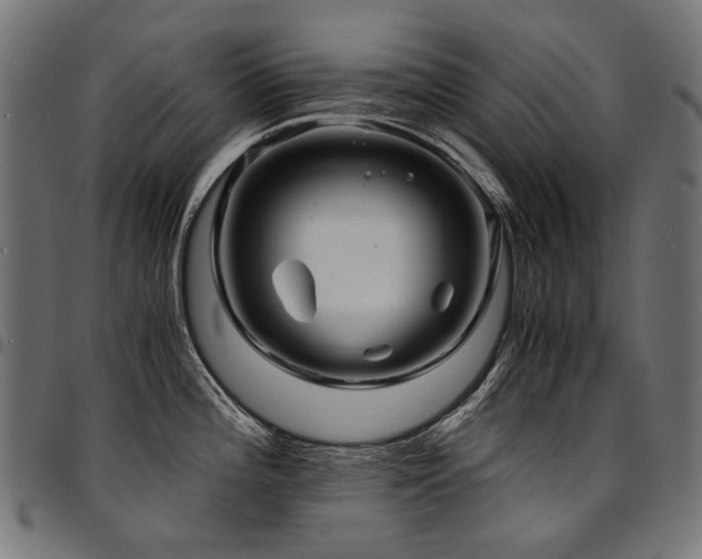 X0000095541196200712141517