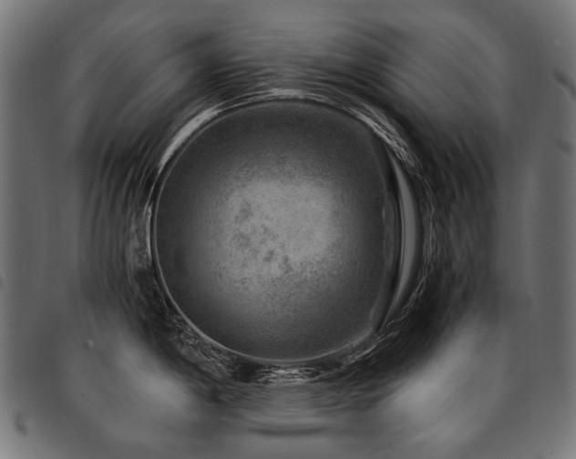 X0000095541198200712141517