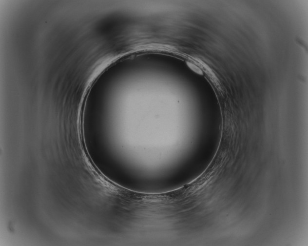 X0000095541199200712141517