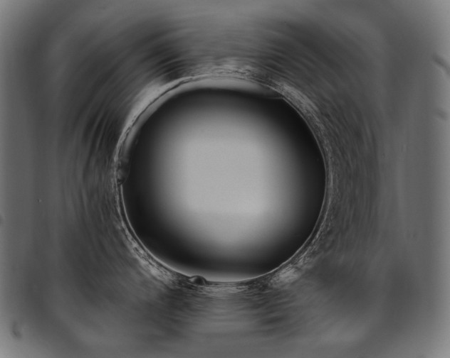 X0000095541200200712141517