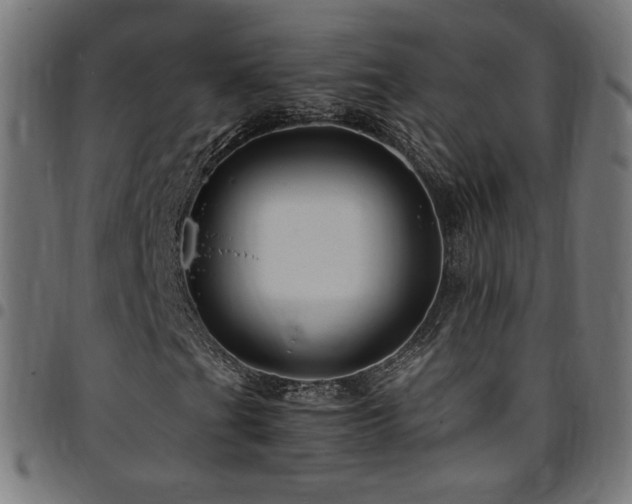 X0000095541201200712141516