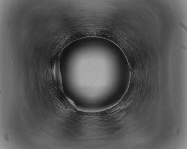 X0000095541202200712141516