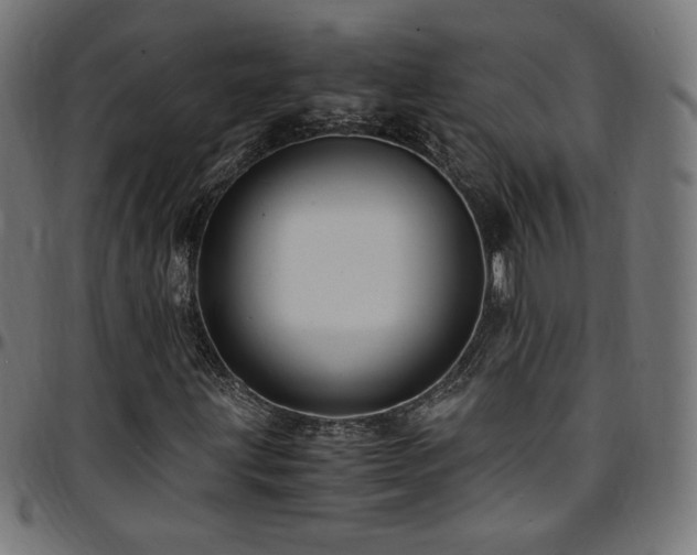 X0000095541203200712141517