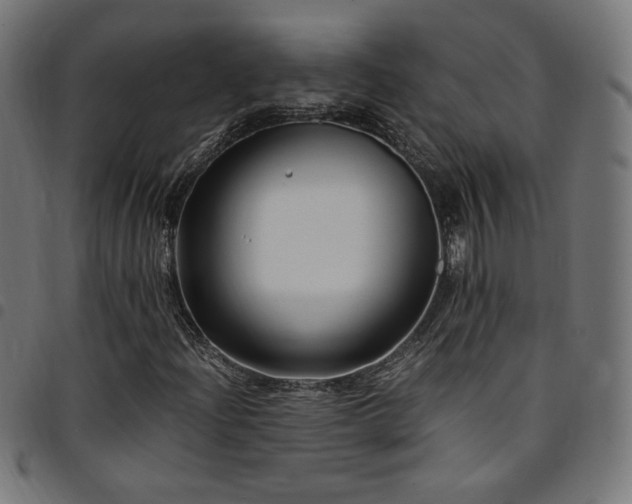 X0000095541204200712141517