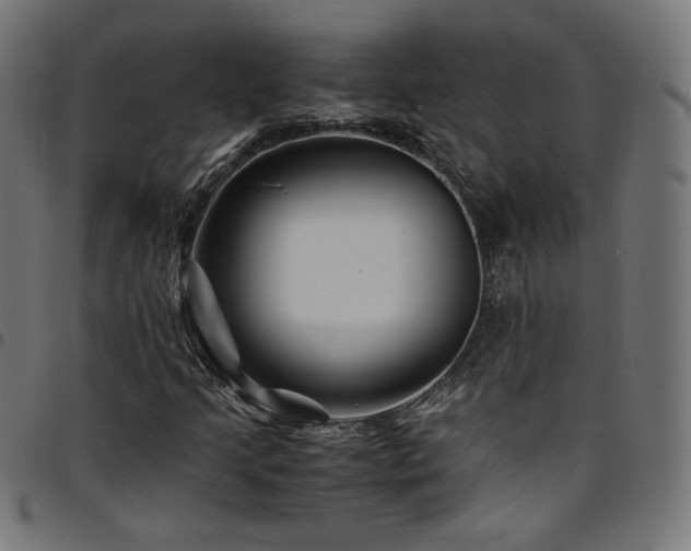 X0000095541205200712141517