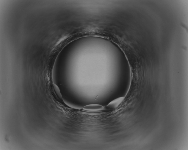 X0000095541206200712141517