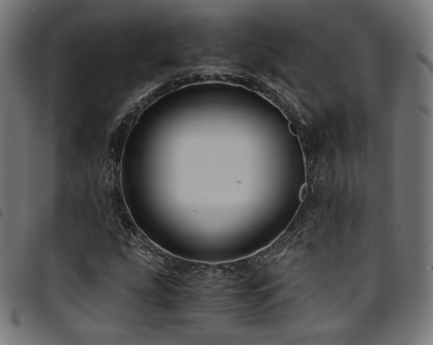 X0000095541207200712141517