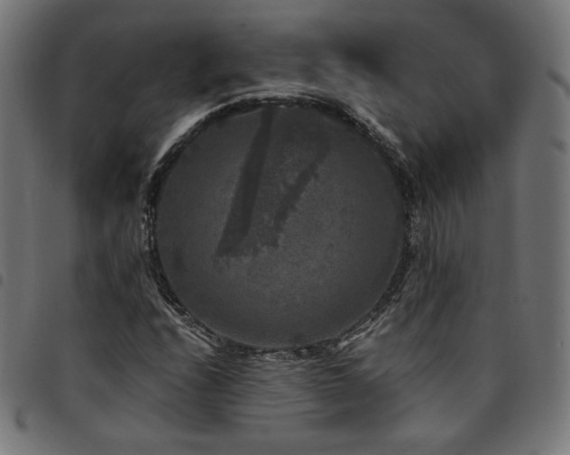 X0000095541208200712141517