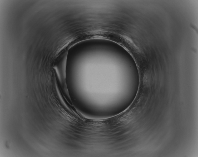 X0000095541209200712141517