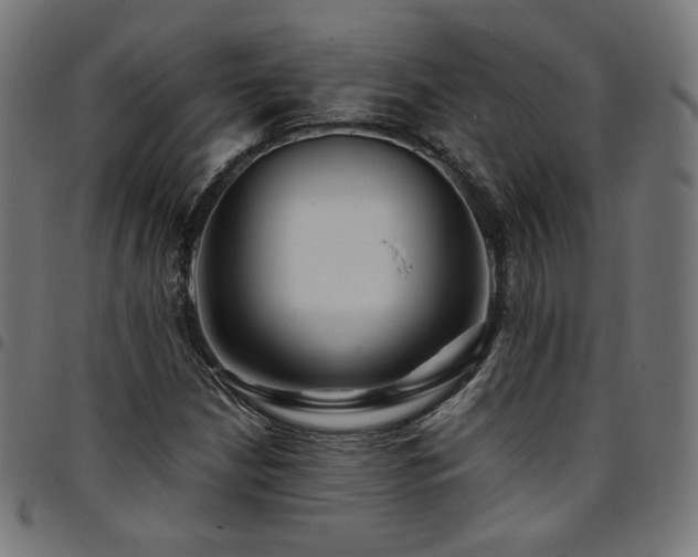 X0000095541210200712141517