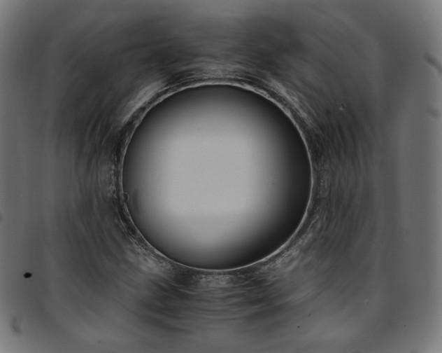 X0000095541211200712141517