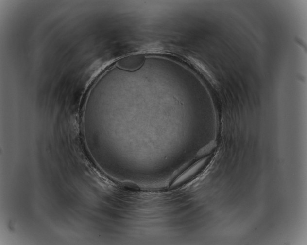 X0000095541212200712141517