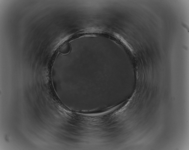 X0000095541213200712141517